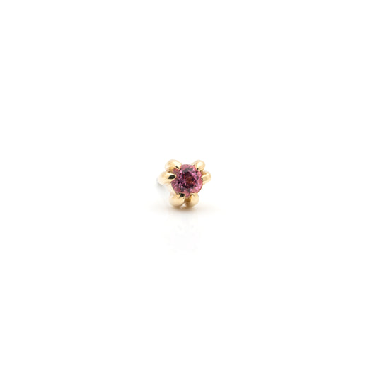 Iris Press-Fit End in Yellow Gold by Tawapa