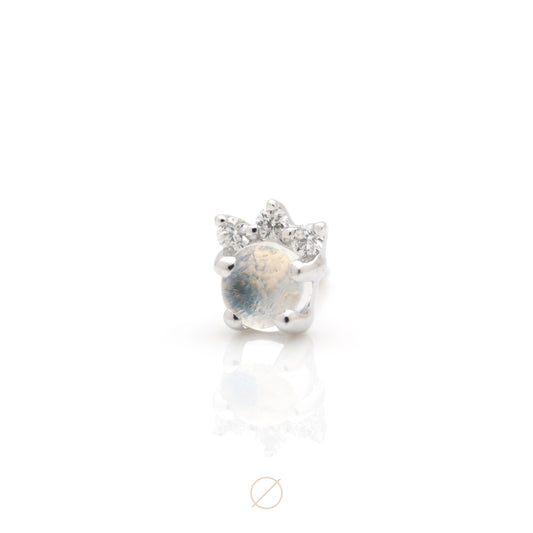 Leia Moonstone Press-Fit End by Modern Mood