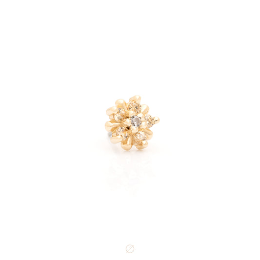Arya Star Press-Fit End by Alchemy Adornment