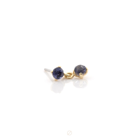 Tiffany Dangle Flavours Press-Fit End by Anatometal