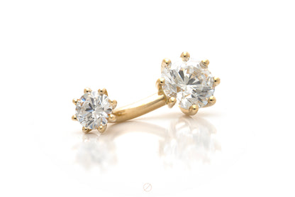 8 Prong Basket Curved Barbell by BVLA