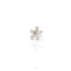 Flat Daisy Press-Fit End by BVLA