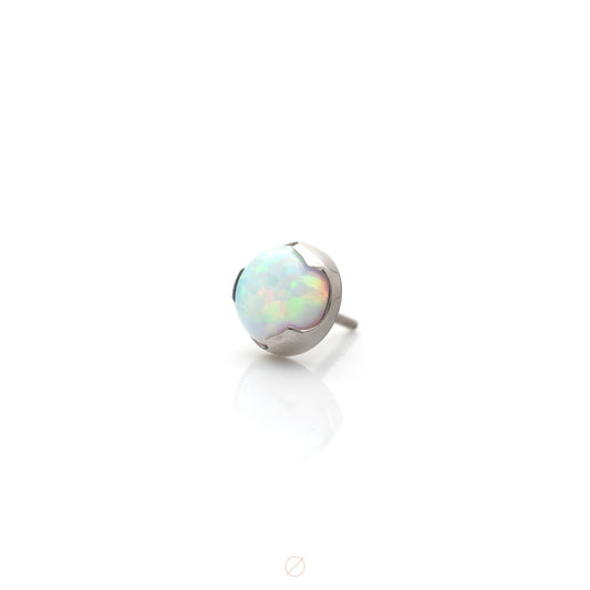 Modified Bezel Cabochon Press-Fit End in Titanium by Canasteel