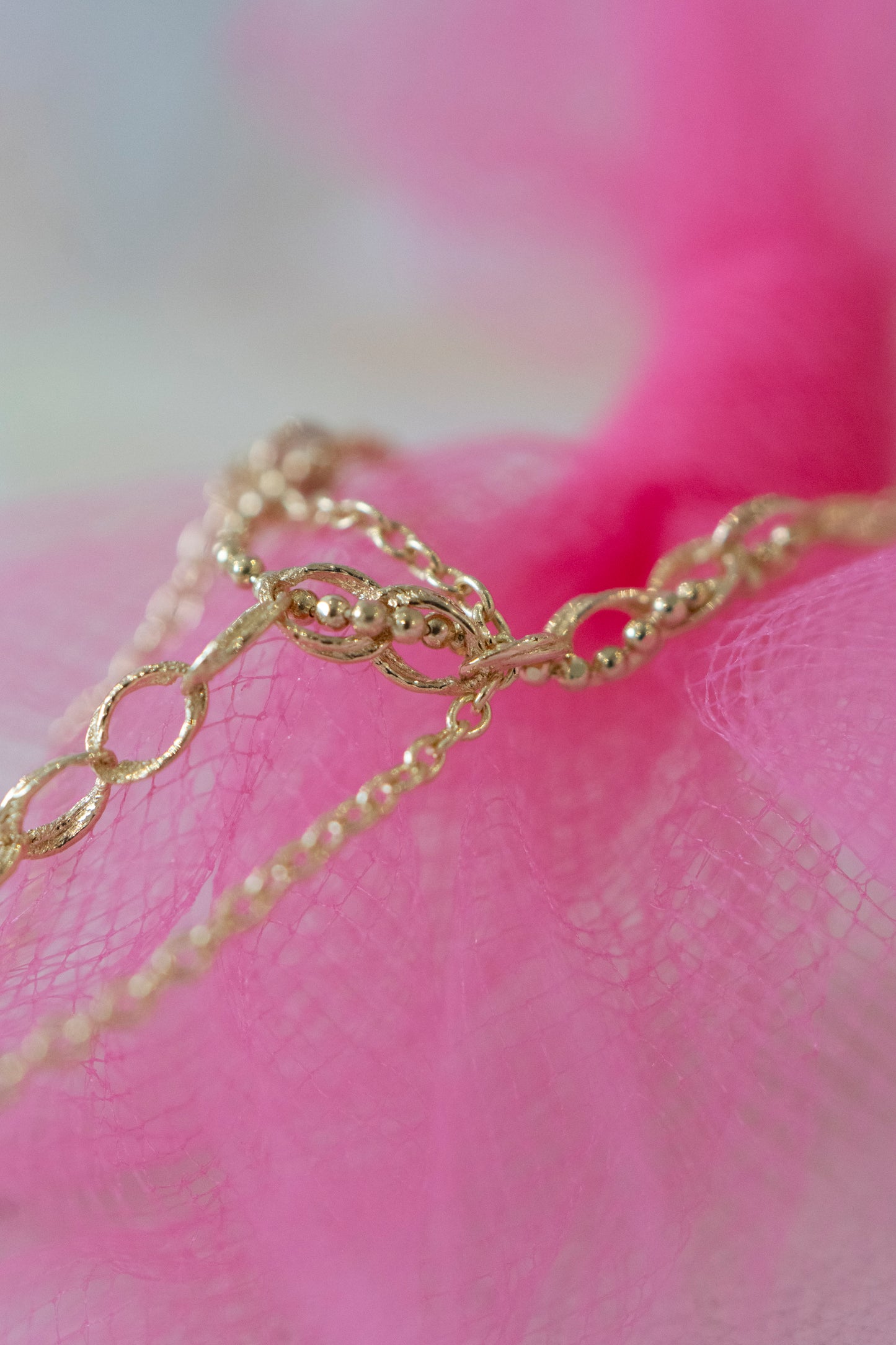 Bird's Nest Lynx 2025 by Pupil Hall