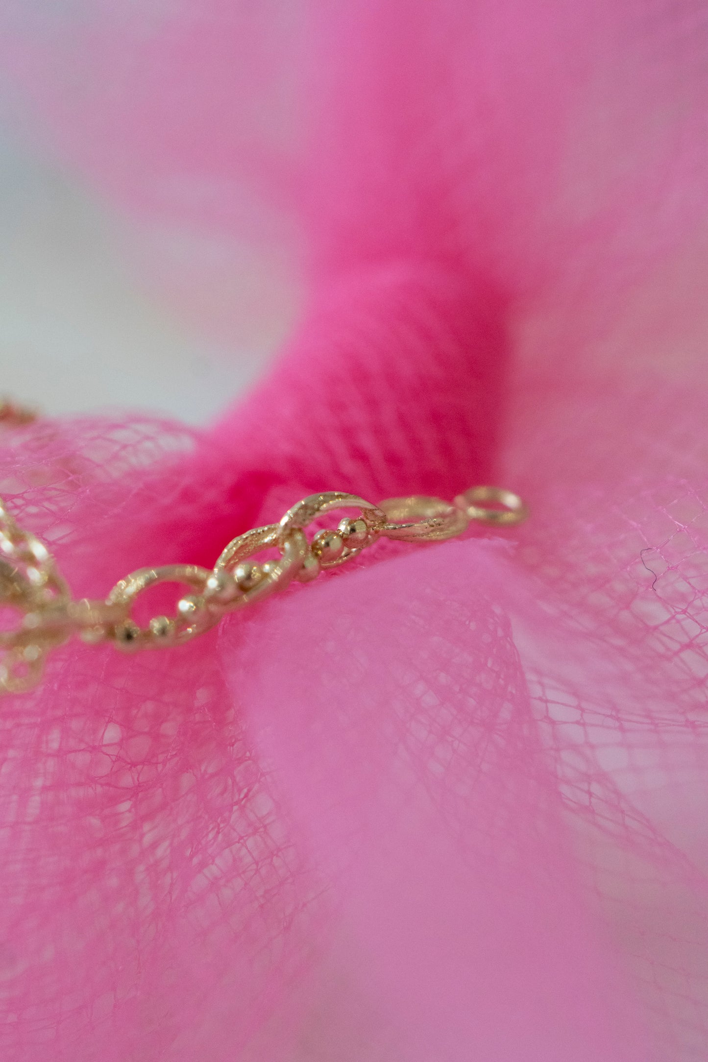 Bird's Nest Lynx 2025 by Pupil Hall