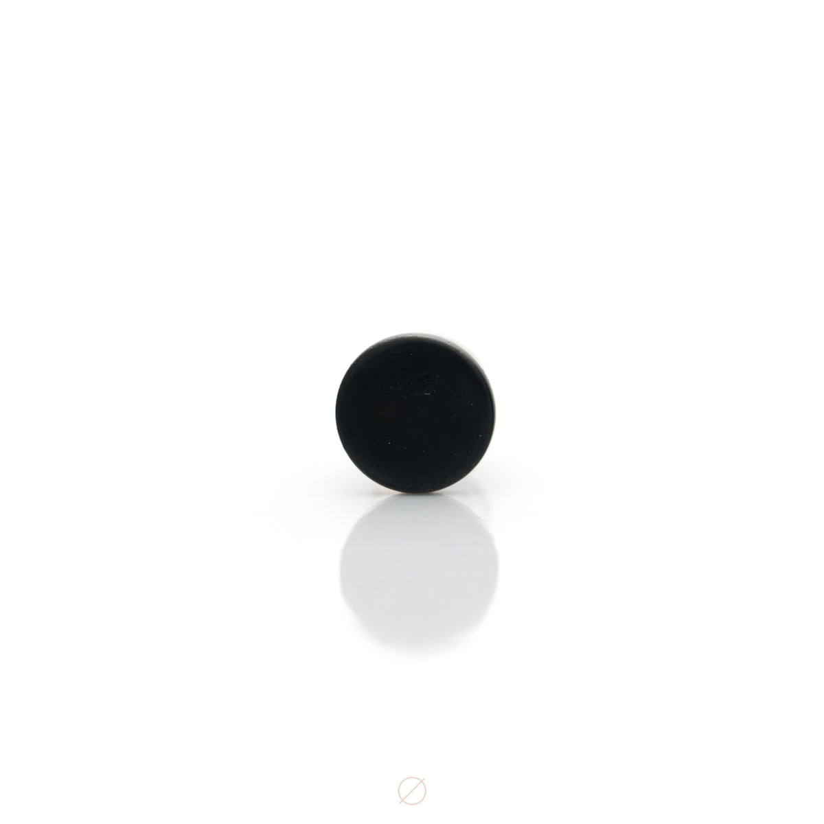 Polished Black Niobium Disk Press-Fit End by Black Forest Jewelry