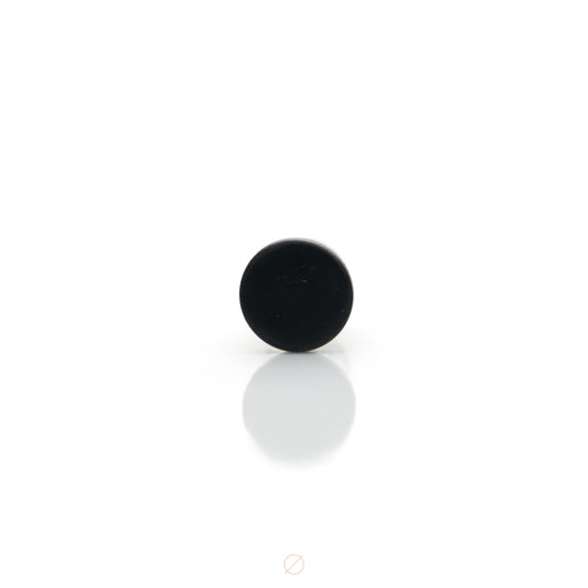 Polished Black Niobium Disk Press-Fit End by Black Forest Jewelry
