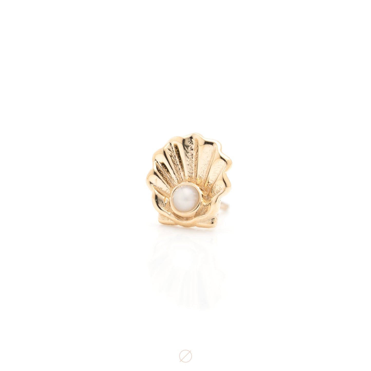 Scallop Shell Press-Fit End by BVLA