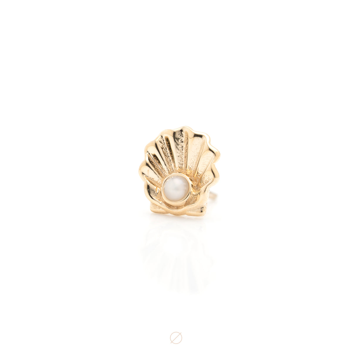 Scallop Shell Press-Fit End by BVLA