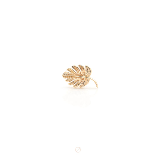 Tiny Monstera Leaf Press-Fit End by BVLA