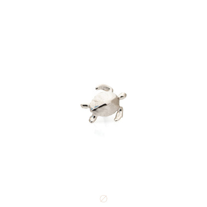 Turtle by Maë Body Jewelry