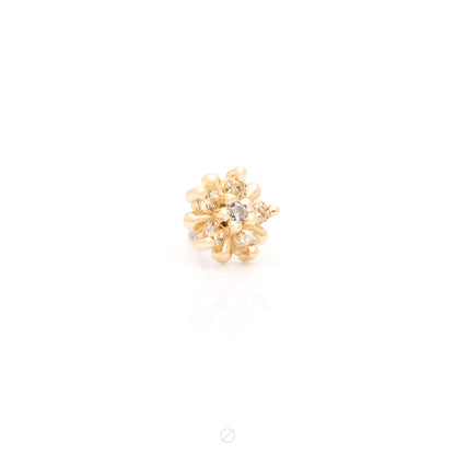 Arya Star Press-Fit End by Alchemy Adornment
