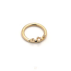 Everythingness with Sapphire Seam Ring by Pupil Hall