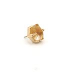 Family Ghost (Various Flavours) Press-Fit End by Pupil Hall